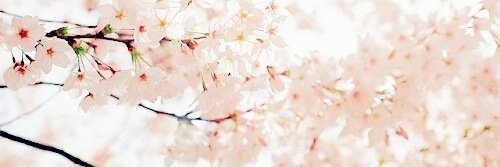 xlisaa_y's profile banner image