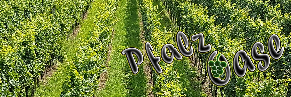 PfalzOase's profile banner image