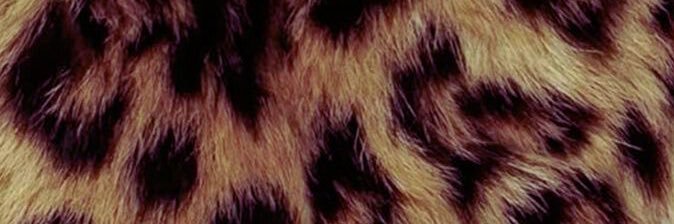 lbaeeeeeee's profile banner image