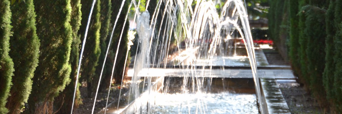 almudenarosal's profile banner image