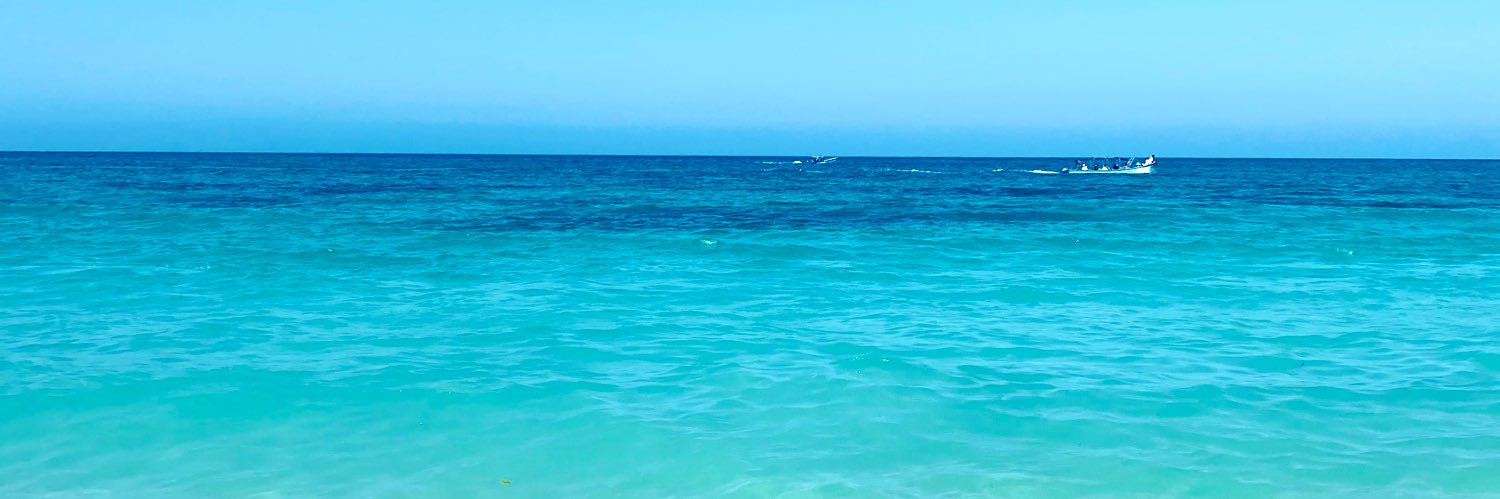 SofiaaLuque's profile banner image