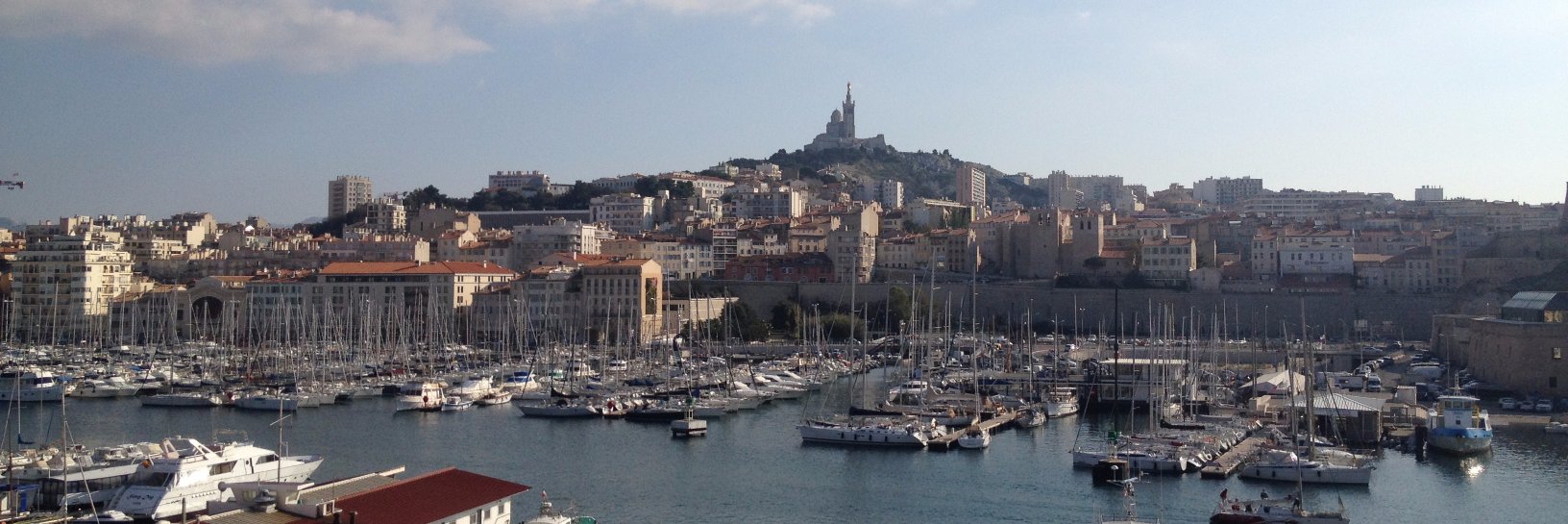 Célia Cuordifede banner