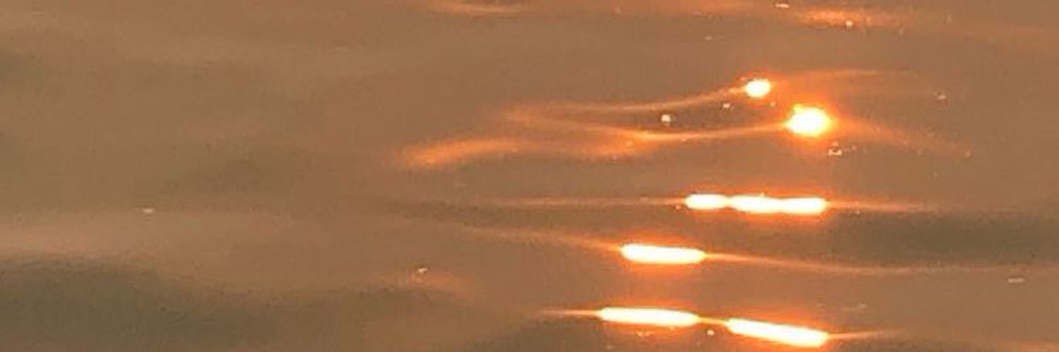 🌓 Dilan banner