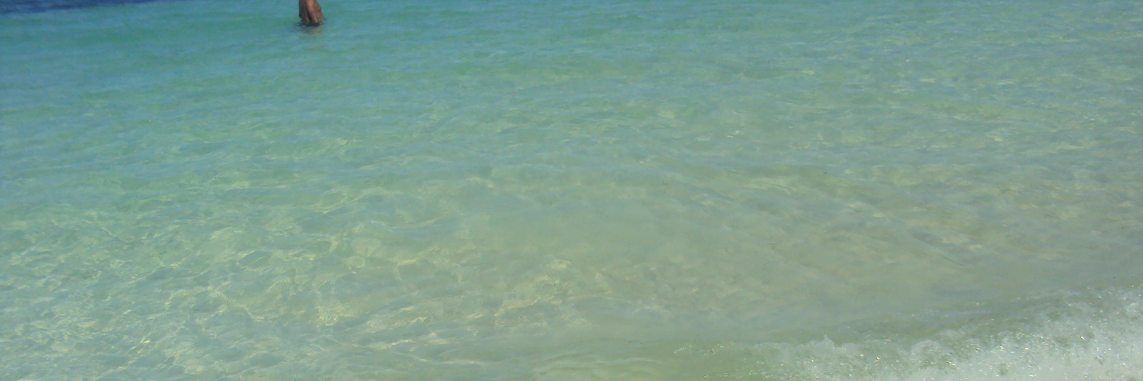 lidialopeli's profile banner image