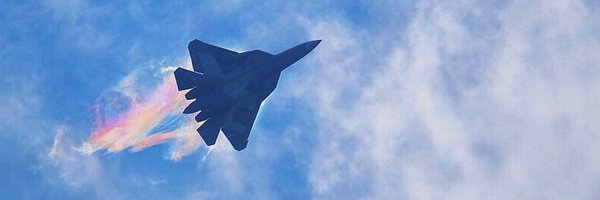 RALee85 Profile Banner