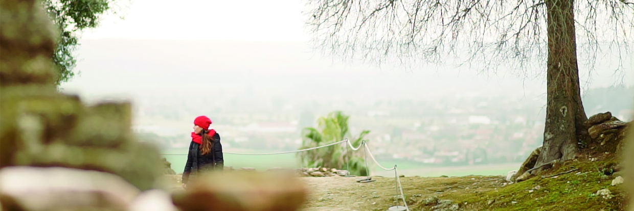 almutafilm's profile banner image
