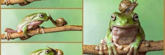 Mirjam de Winter banner