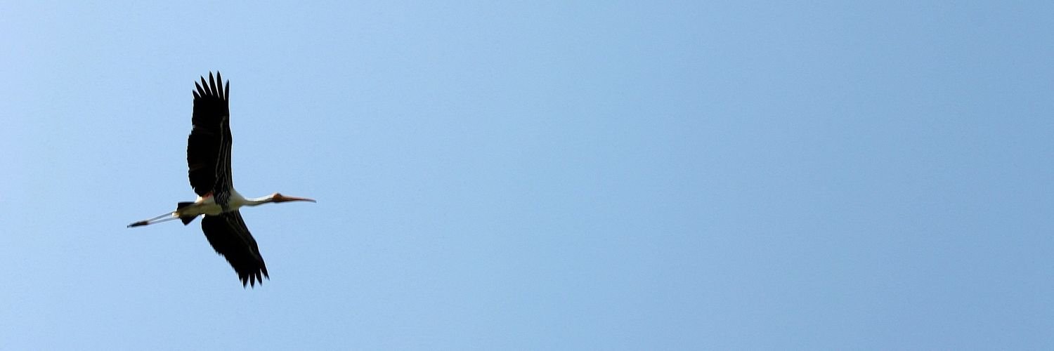 pablol71's profile banner image
