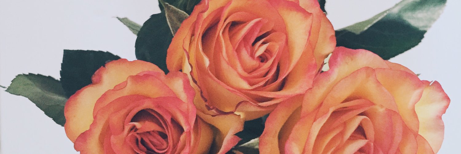 desireeadoria's profile banner image