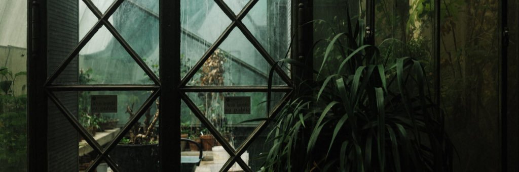 DudMode's profile banner image