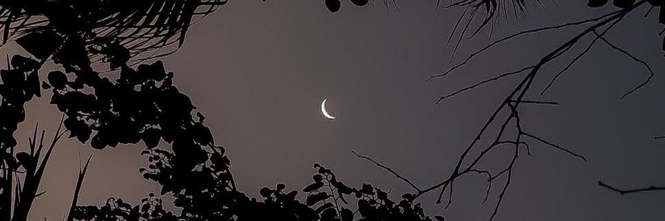 cataamex's profile banner image