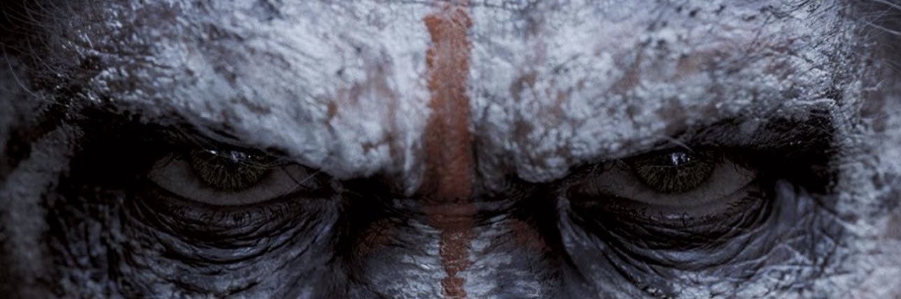 𝐌𝐚𝐫𝐜𝐮𝐬 𝐄𝐯𝐚𝐧𝐬 🧸 banner