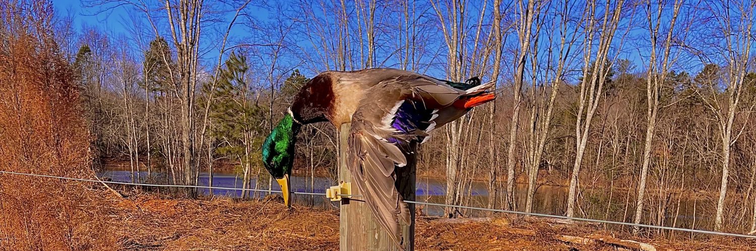 logancostner46's profile banner image