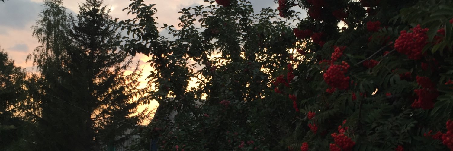 YuryShebloff's profile banner image