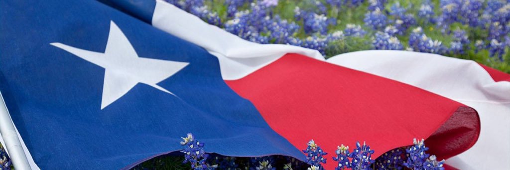 Hillary4TX's profile banner image