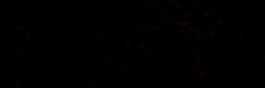 N8Says's profile banner image