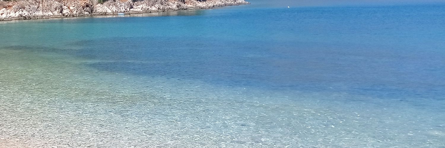 •° natalia °• ❤︎ banner