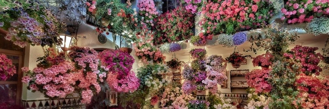 Lidia Ramírez banner