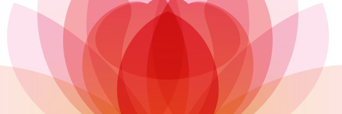 Rachel Corcoran banner