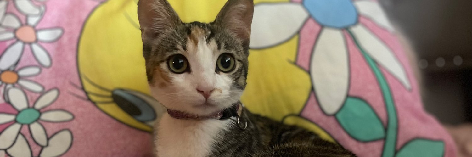 _jendizzlee's profile banner image