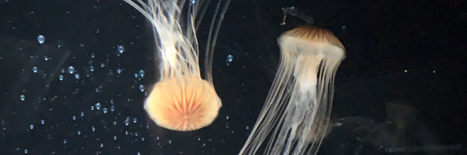 bakelooks's profile banner image