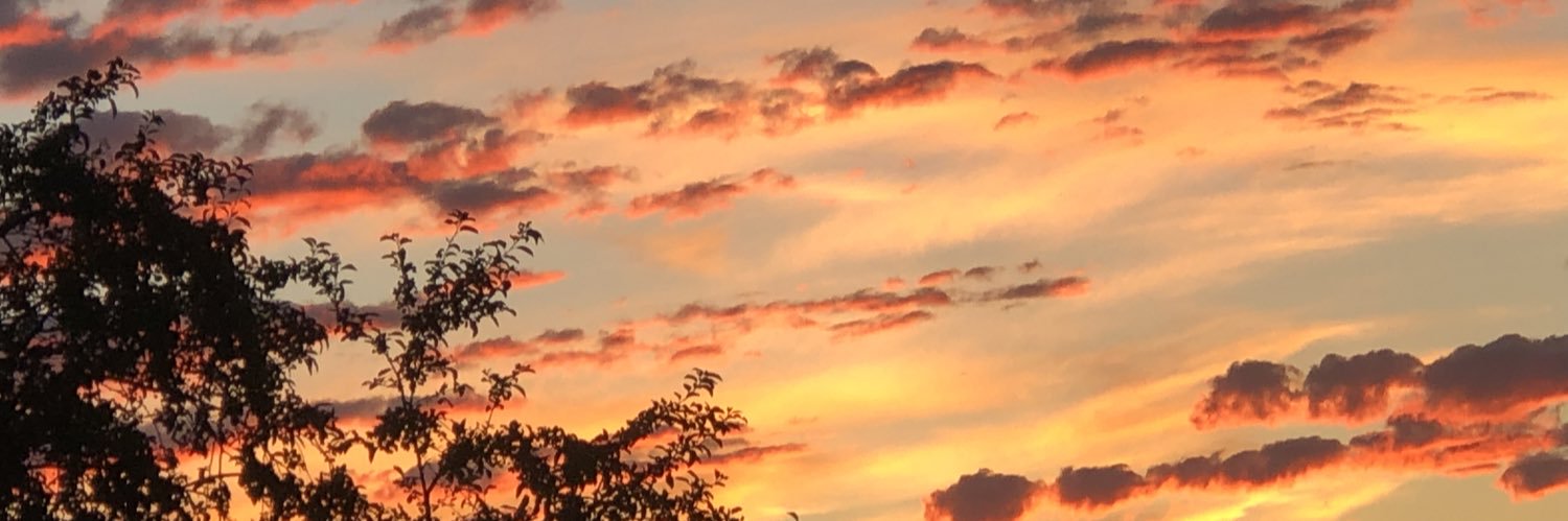 janethudson007's profile banner image