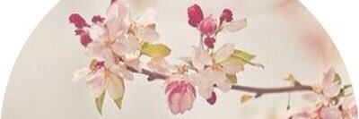 HananalisS's profile banner image