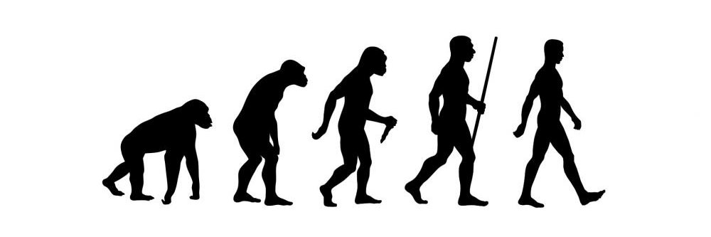 Carlos Darwin 🇪🇸🇫🇷🤝🏻🇺🇦🇮🇱 banner