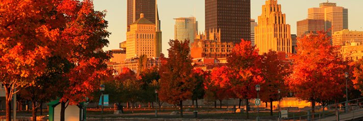 Vic_H1's profile banner image