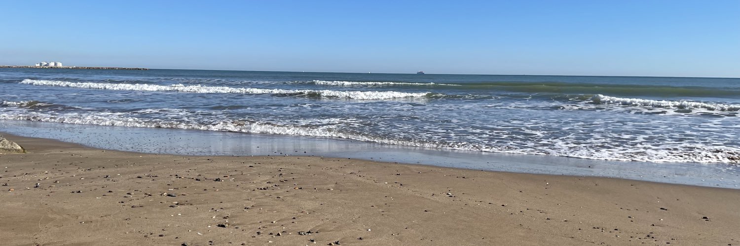 Alis in Wonderland banner