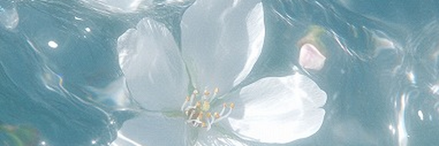 screamikoy's profile banner image