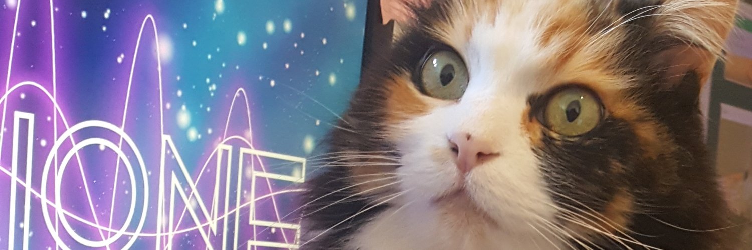 FoxLeader86's profile banner image