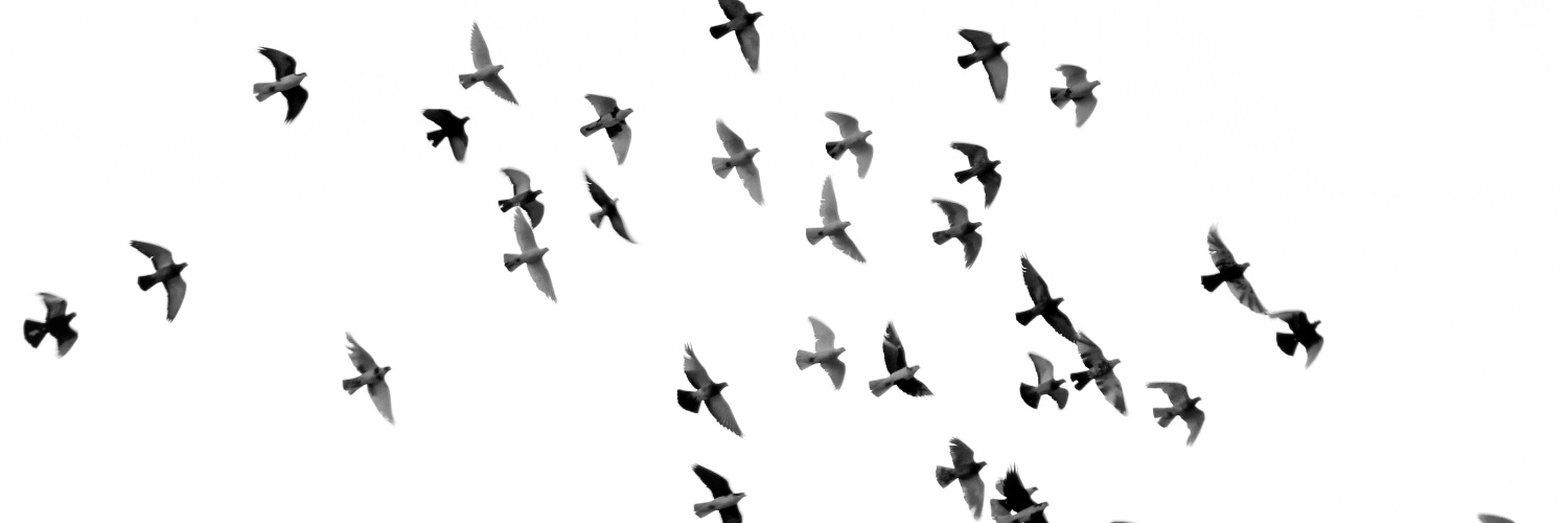 claussible's profile banner image