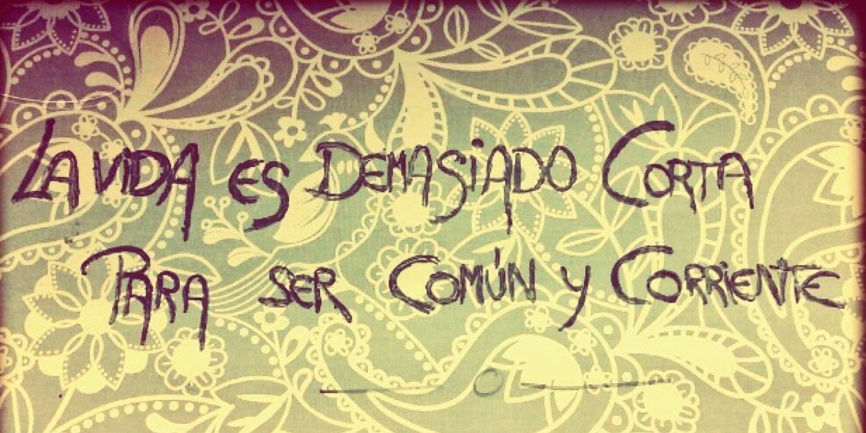 misha_gatica's profile banner image