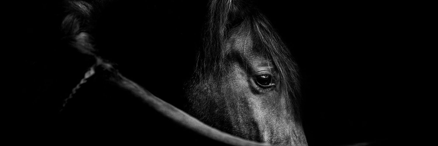 CPP-LUXURY.COM banner