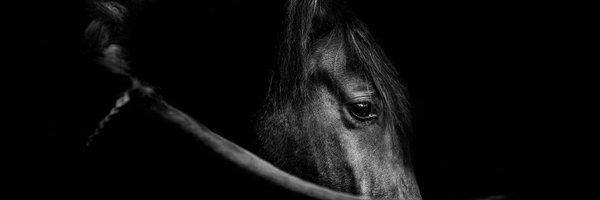 cppluxury Profile Banner