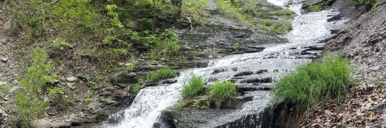 creek_mountain's profile banner image