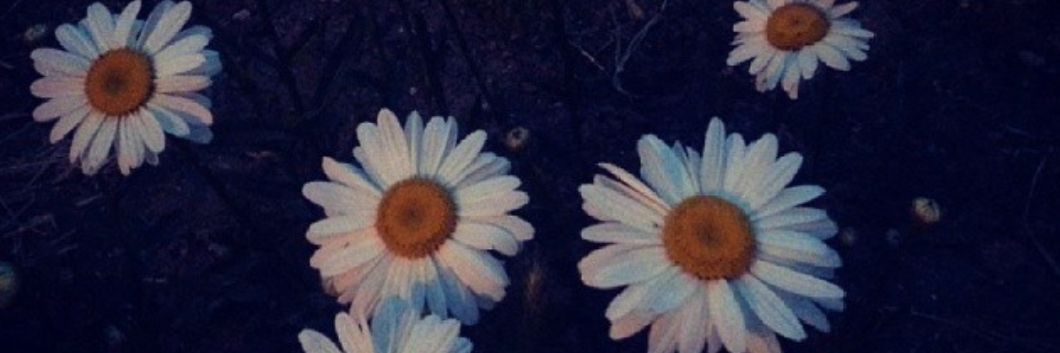 abrahambelli's profile banner image