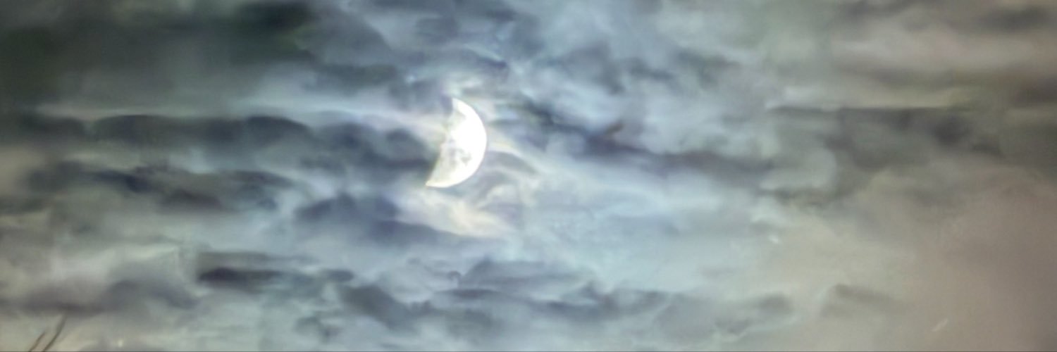 PatriciaRiak's profile banner image