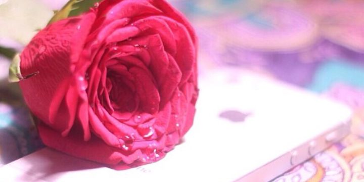 Ftooomsaaad's profile banner image