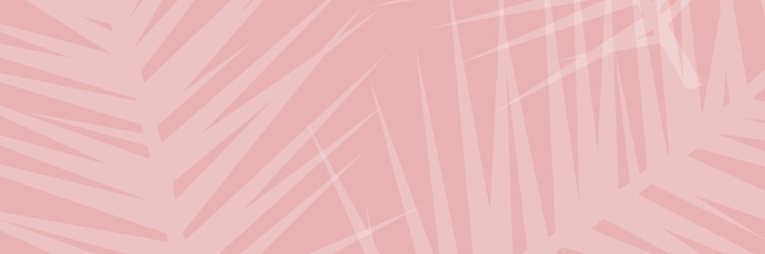solperucca's profile banner image