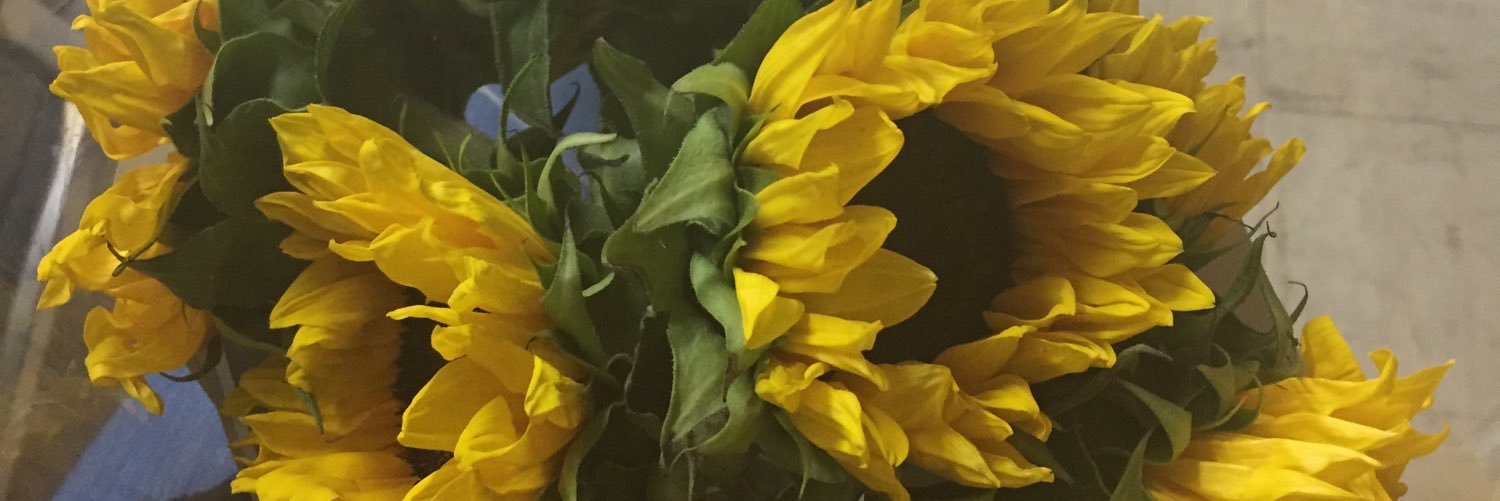 sssolecito's profile banner image