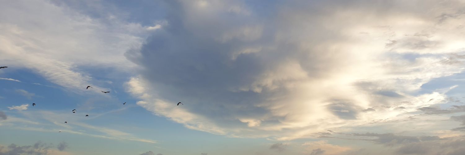 ItsEvvanah's profile banner image