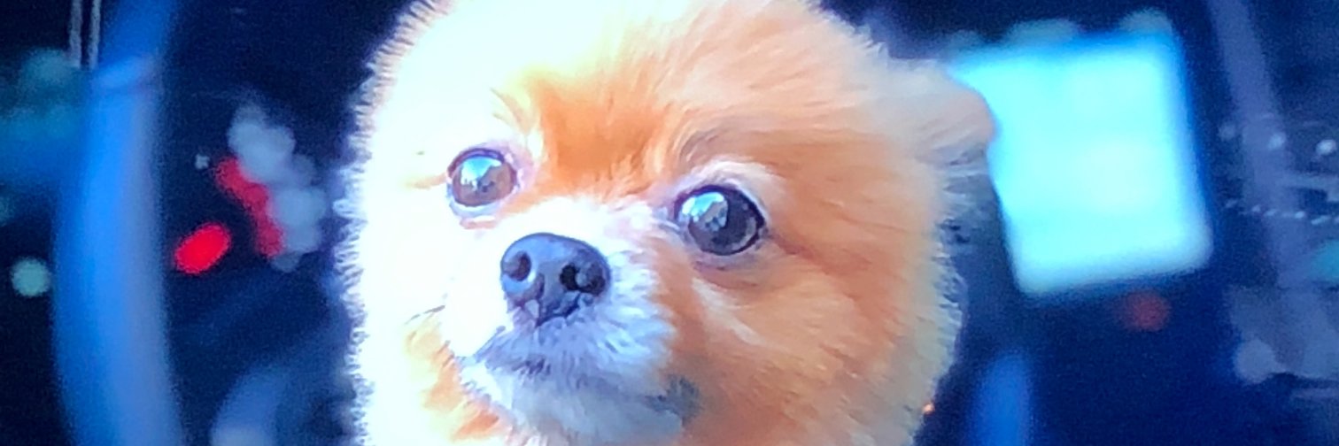 RealGabrielMark's profile banner image