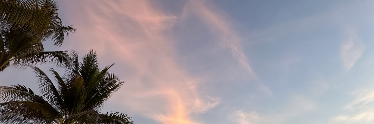 natashafera's profile banner image