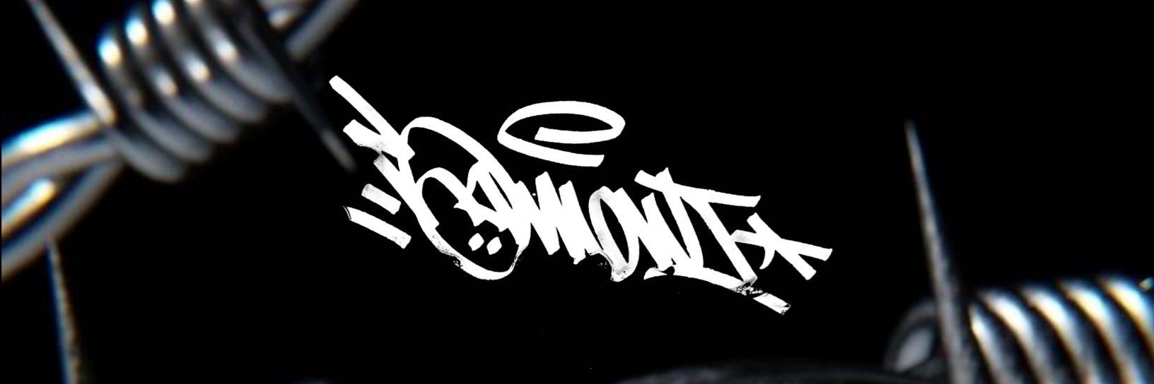 salm🐺nt banner