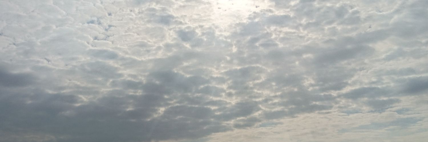 VivitzPix's profile banner image