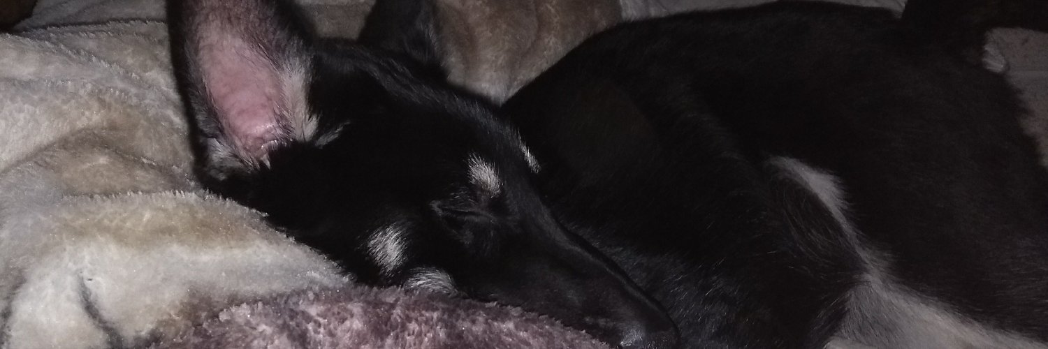DemonSpud07's profile banner image