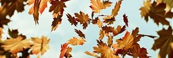 LeifyIsHere's profile banner image