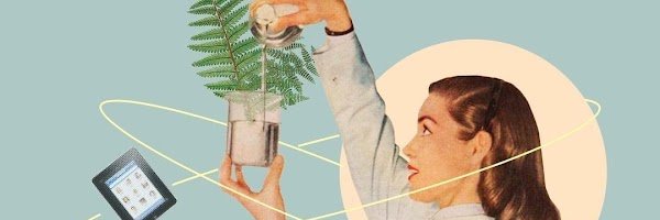 Chulerica.eth banner